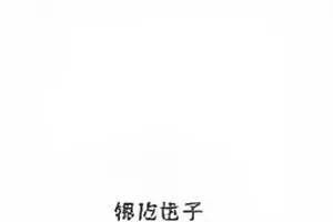 《白昼邮局》元数据封面,路透图上传记录